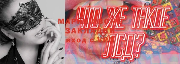 гидра Бронницы