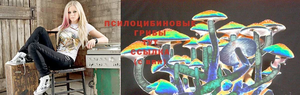 гидропоника Ростов
