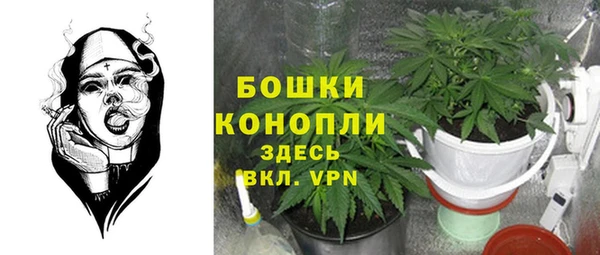 молекула духа Бугульма