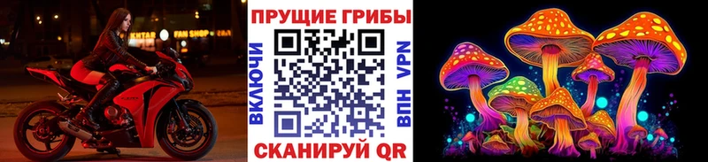 дарк нет как зайти Заозёрск OMG рабочий сайт Псилоцибиновые грибы Magic Shrooms где можно купить